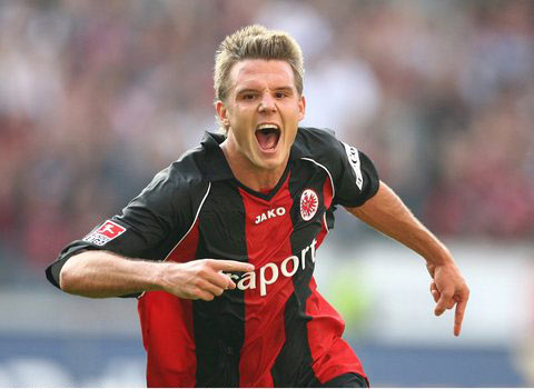 他们的聪明 他们的聪明